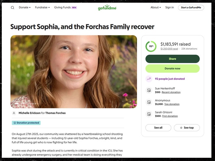 Sophia Forchas gofundme