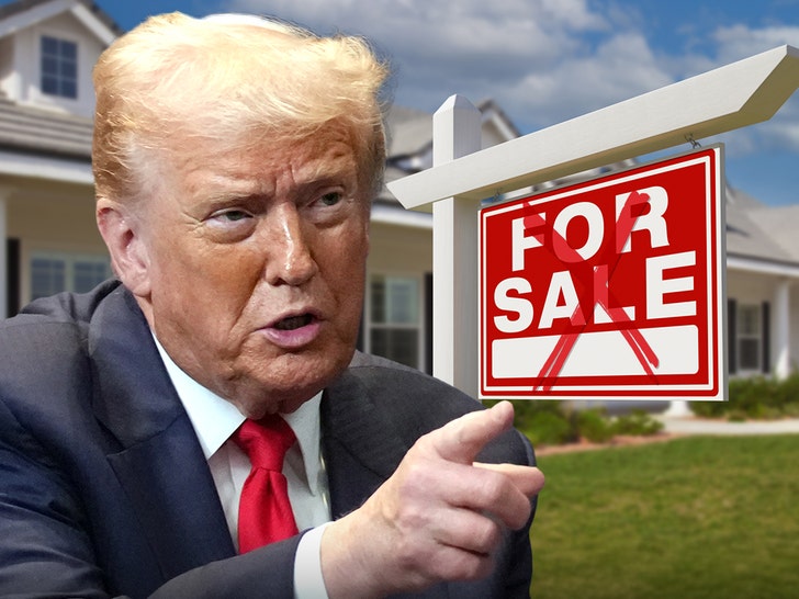 donald trump houses main getty