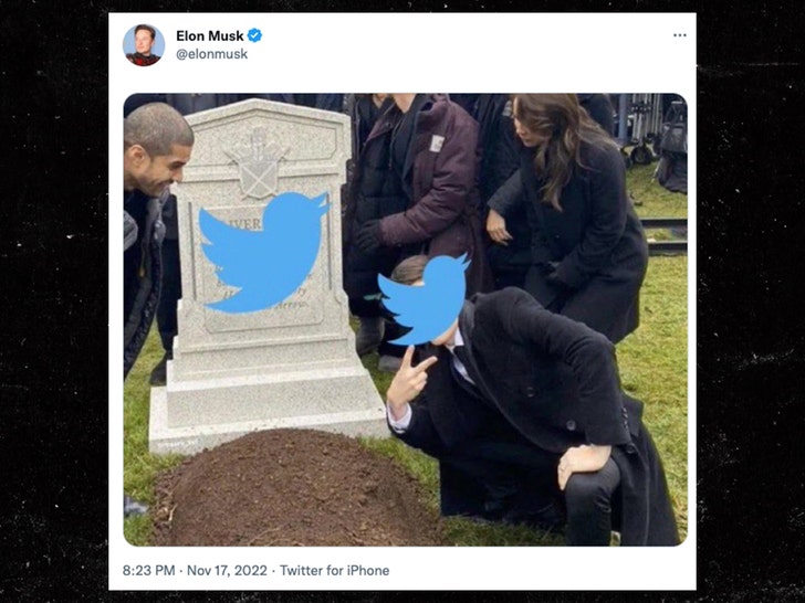 Elon Musk Says Twitter Hit All Time High During Shutdown Panic