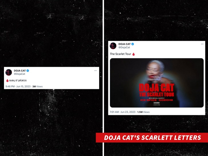 Doja Cat Tickets & 2023 The Scarlet Tour Dates