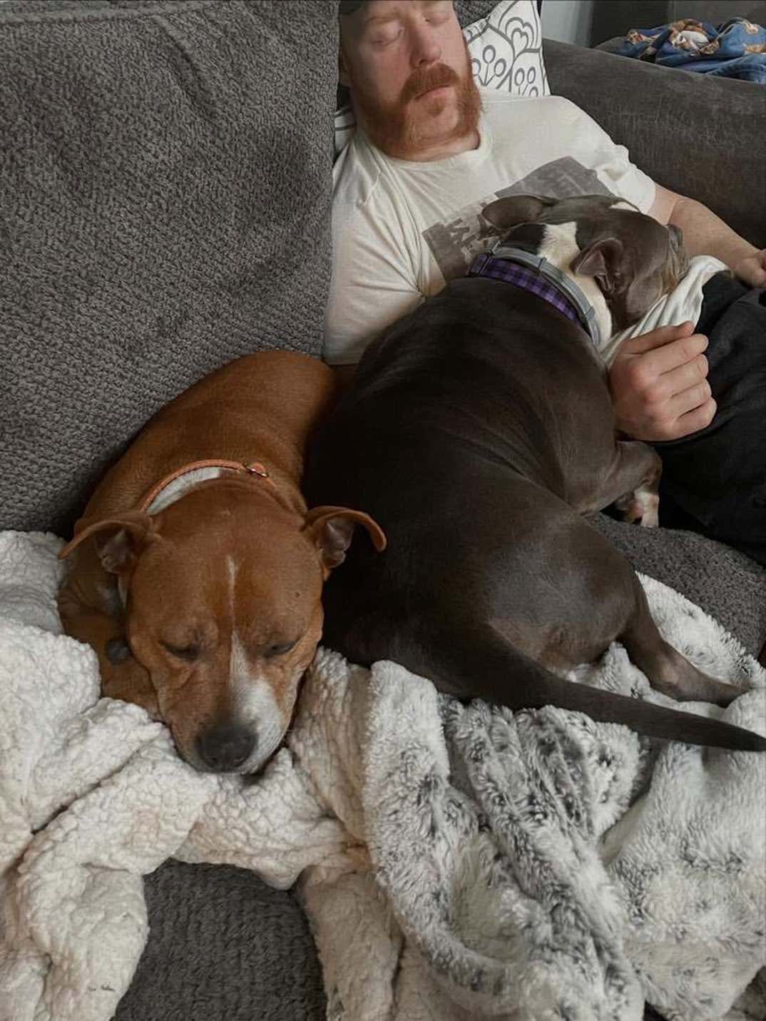 Sheamus Dog Betty 10