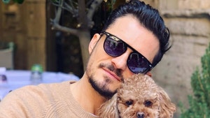 Orlando Bloom Says Beloved Dog Mighty is Dead