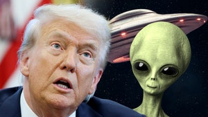 donald trump alien main getty