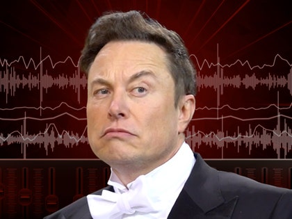 Elon Musk Leaves Twitter Chat