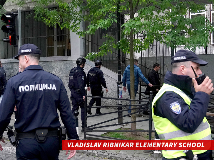 Vladislav Ribnikar Elementary School