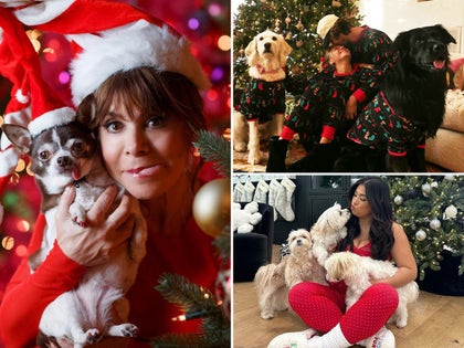 1213-Holiday-Pets-PRIMARY