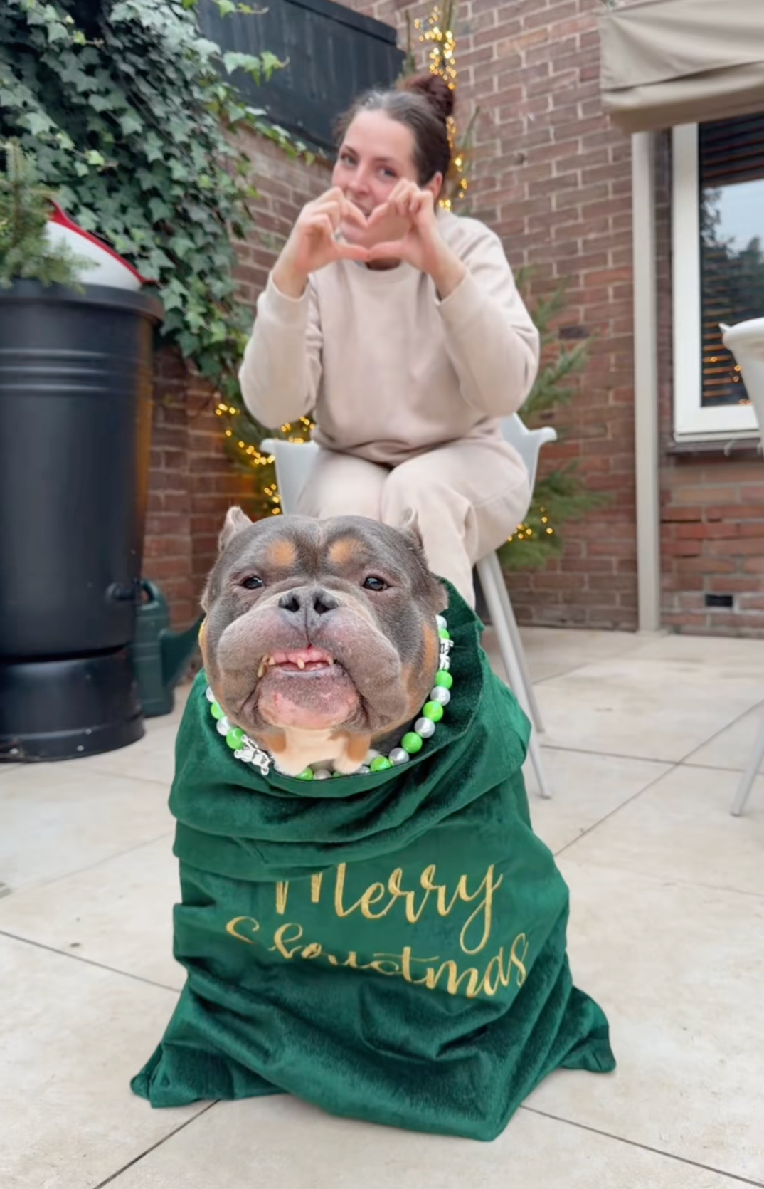 Screenshot 2025-12-25 at 5.43.59 AM