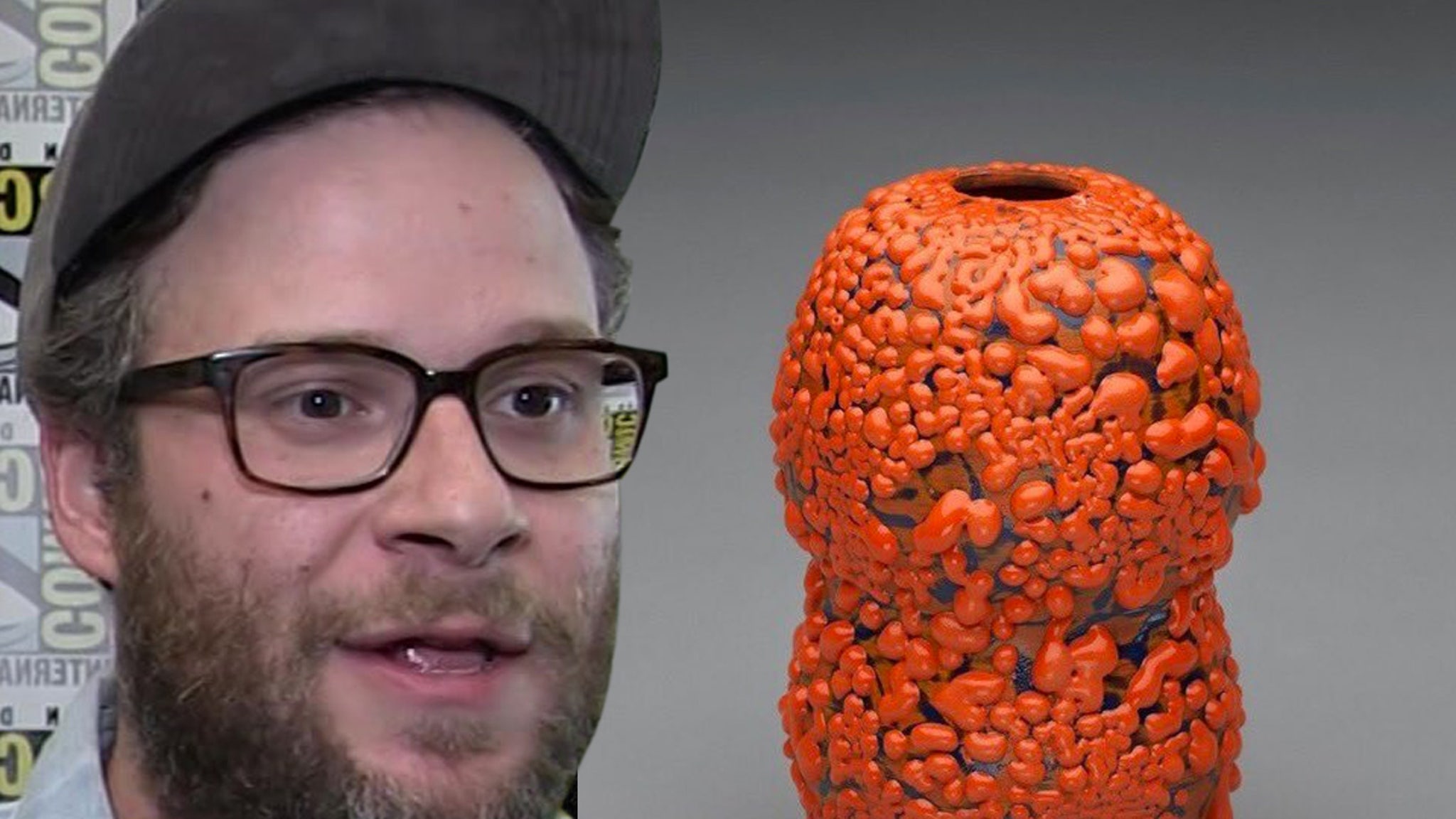 Seth Rogen's Ceramic Vase Sells for Thousands at Auction - TMZ