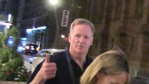 091224_roger_goodell-primary