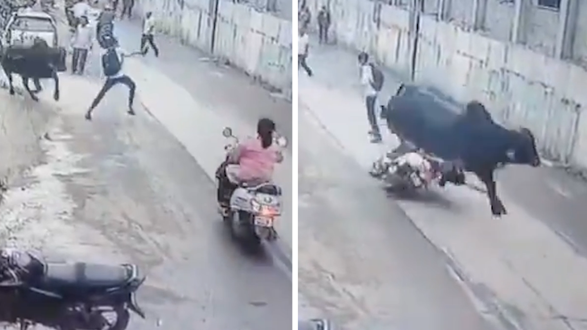 Bullseye! Rampaging Bovine Levels Scooter Rider