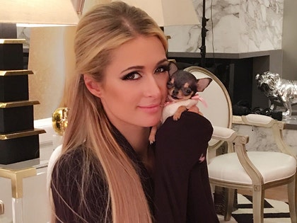 1011-paris-hilton-instagram