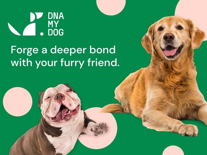 DNA My Dog