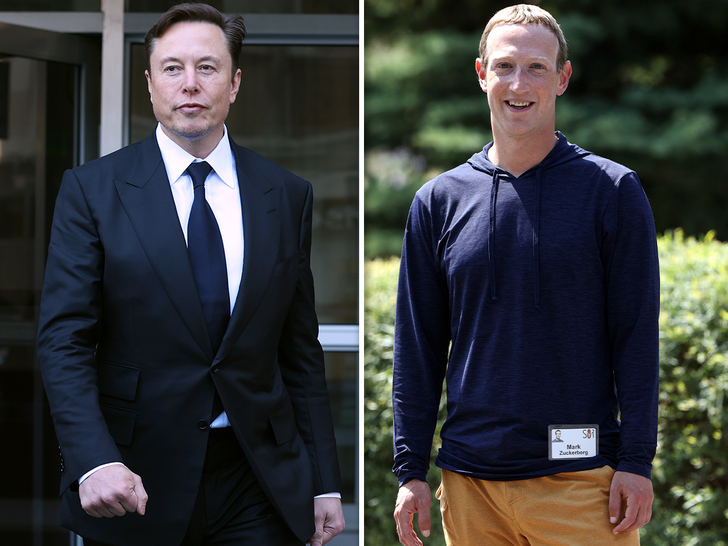 Mark Zuckerberg and Elon Musk