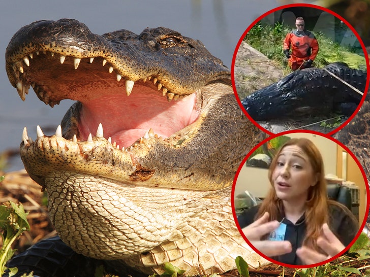 Un alligator américain mangeant une interview avec une femme sans abri