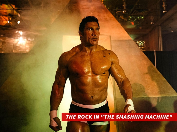 the rock in the smashing machine alamy 1