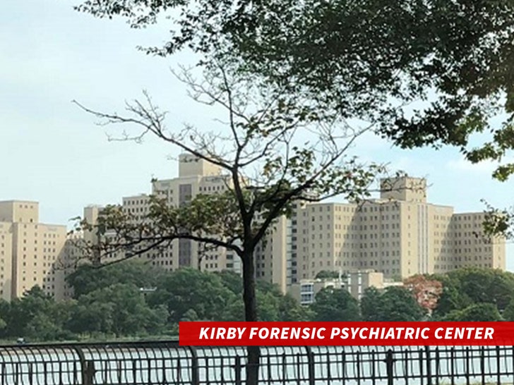 Kirby-Forensic-Psychiatric-Center-omh.ny.gov-1