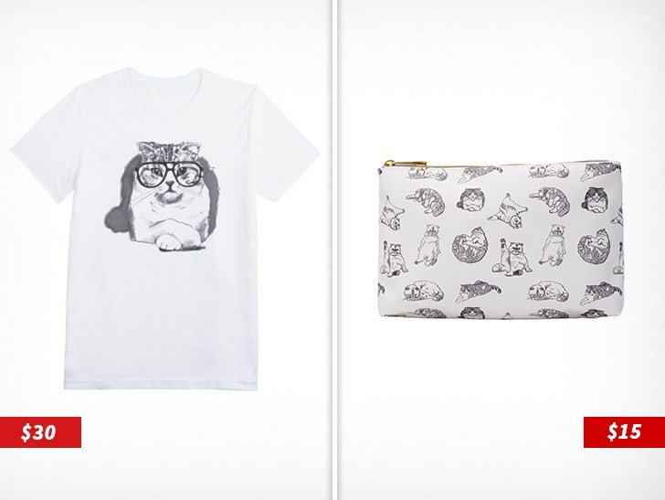 Enter Your Meredith Era With These Taylor Swift-Inspired Pet Products · The  Wildest