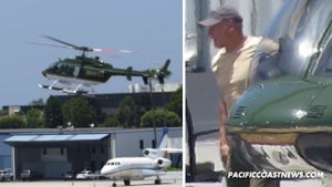 Harrison Ford -- Co-Pilots Chopper to Perfect Landing (VIDEO)