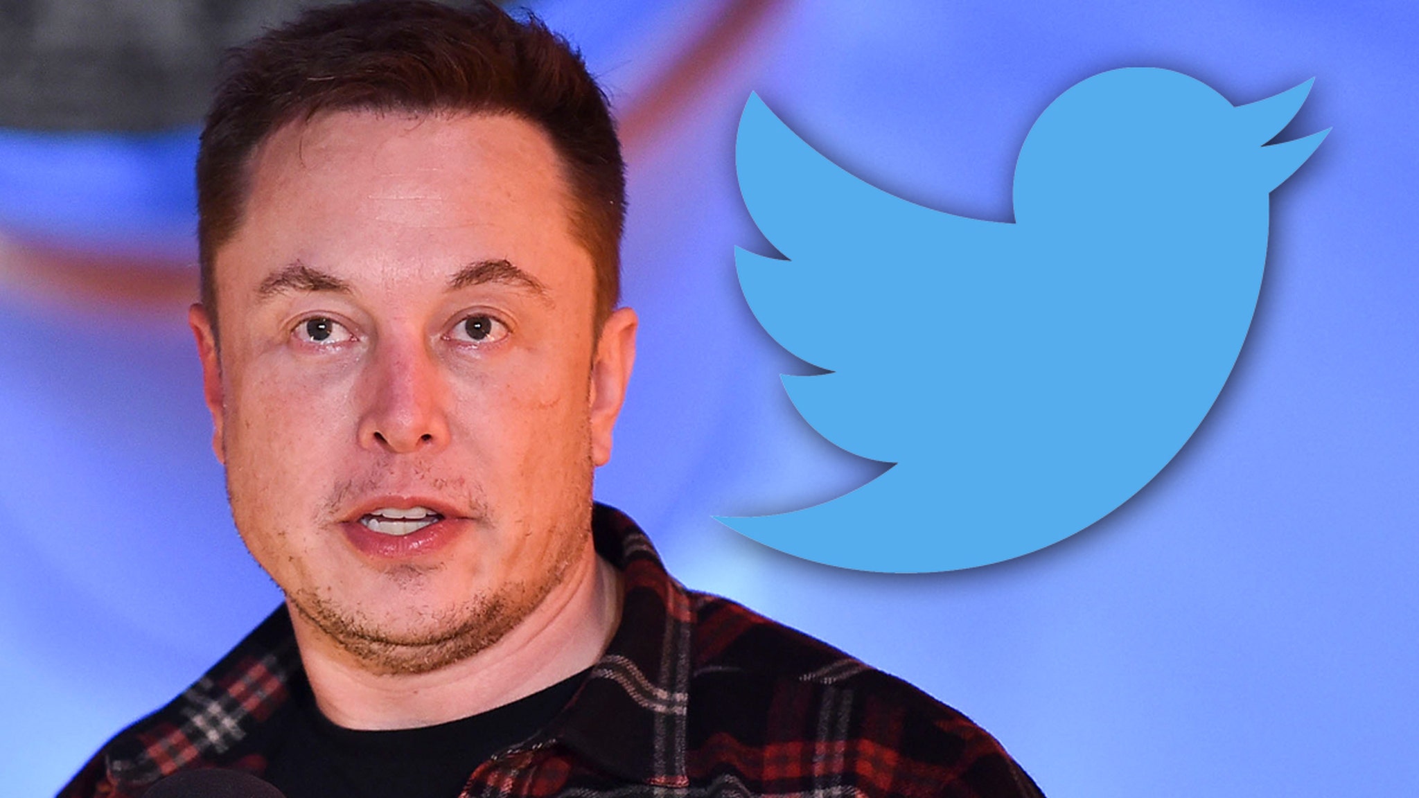 Elon Musk Fires Half The Staff At Twitter, Employees File Suit