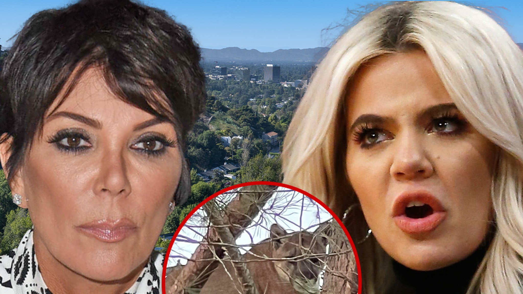 Mountain Lion Seen in Kris Jenner, Khloe Kardashian’s Neighborhood