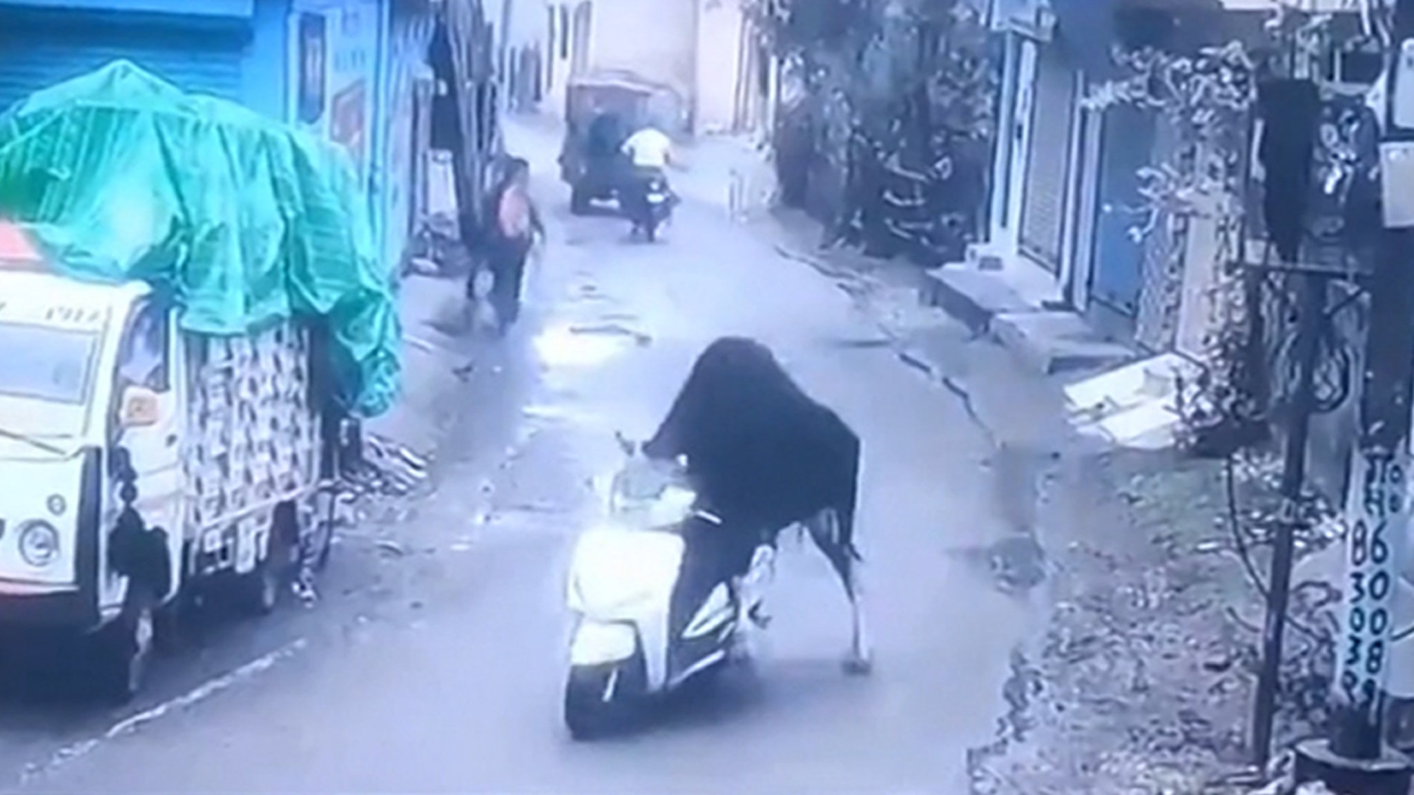 Scooter-Stealing Bull Goes for Joyride in India, on Video