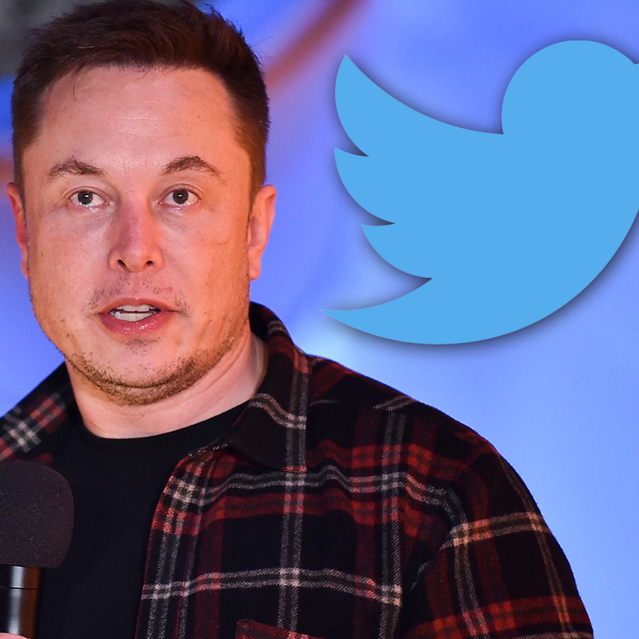 Elon Musk Seemingly Fires Twitter Employee Via Tweet