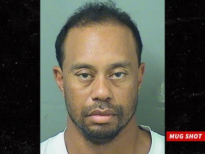 0529-tiger-woods-mug-shot-01