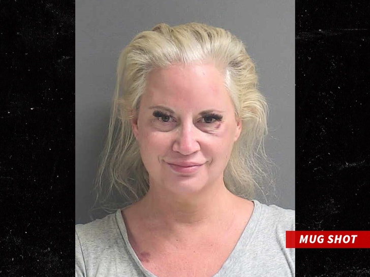 Leyenda De La Wwe Tammy Sytch Sunny Arrestada Por Accidente Fatal De Dui 75 Yo