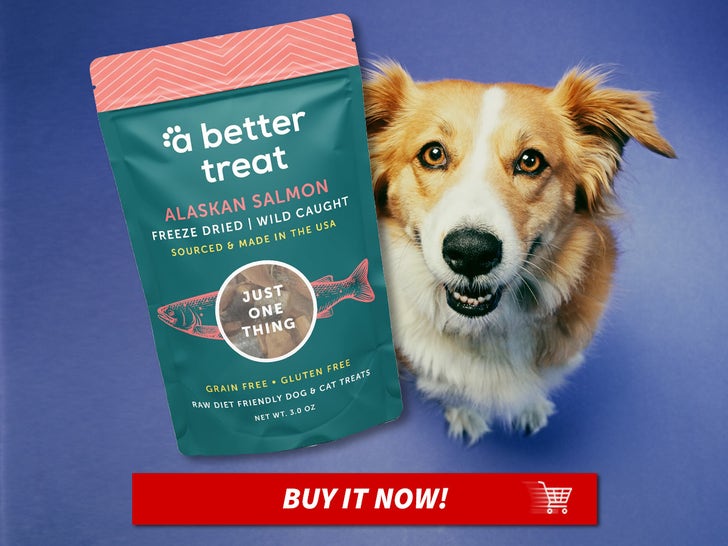 A-Better-Treat-Freeze-Dried-Salmon-Dog-Treats-MAIN