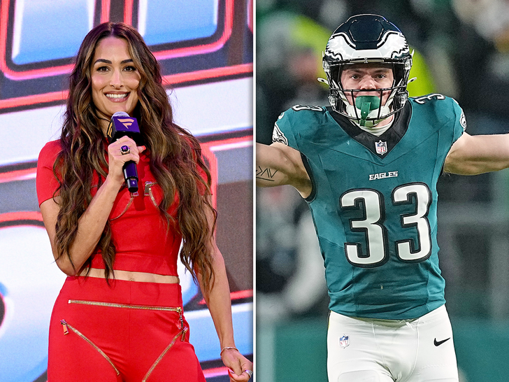 nikki bella cooper dejean membagi sub getty