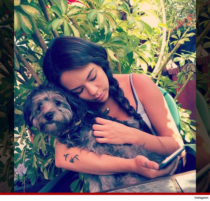 Celebrity Dogs Living Better Than You On National Puppy Day :: 0323-puppy-pic-28