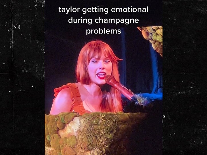 Taylor Swift: More Than Just Breakup Songs