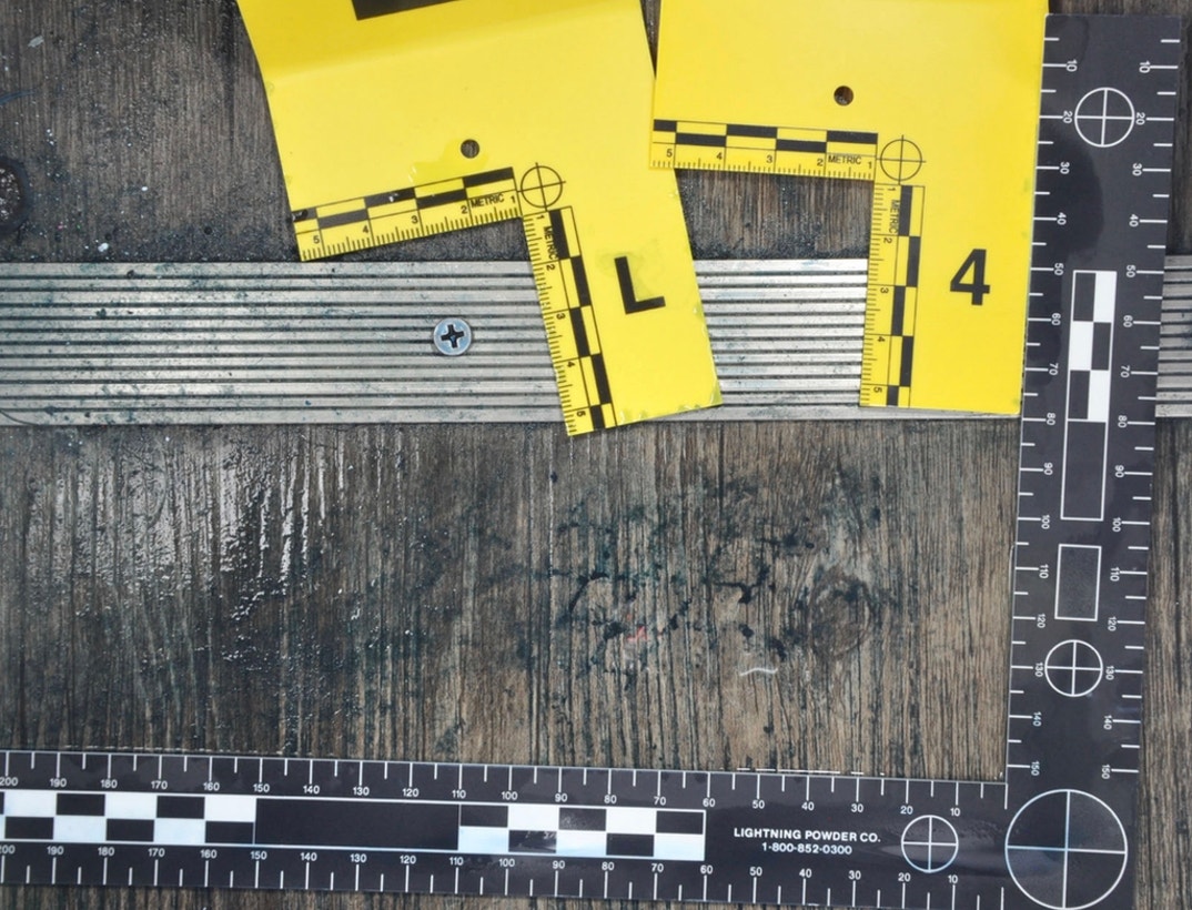 Bryan Kohberger Graphic Crime Scene Photos 6