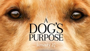 'A Dog's Purpose' Premiere Canceled