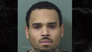 Chris Brown Arrested for Felony Battery After Florida Concert