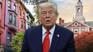 donald trump harvard harlem main getty
