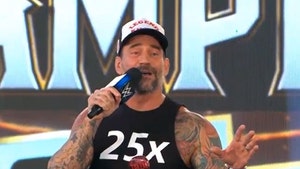 cm-punk-primary-06-27-2025