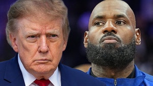 donald trump lebron james getty