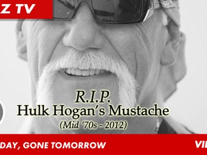 011212_hogan2_still