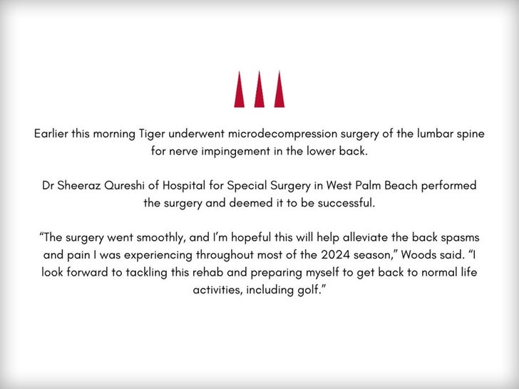 tiger woods statement sub.