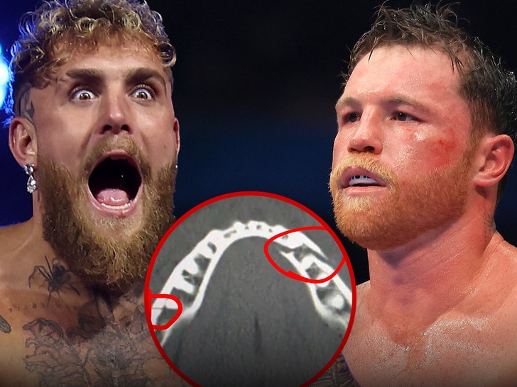 jake-paul-canelo-getty-ig-1