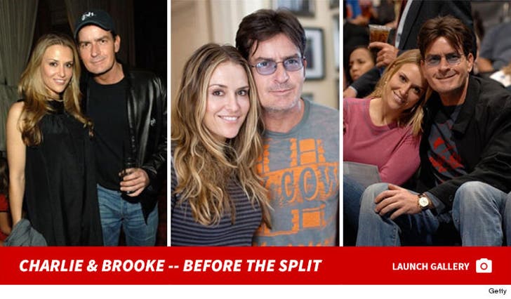 Charlie Sheen and Brooke Mueller -- Before The Split