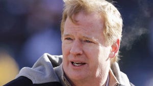 Goodell's Dead WRONG -- Casino Could Legally Have Given NFL Rice Elevator Video