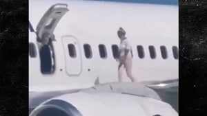 Ukrainian Woman Walks on Wing of Parked Plane, Needed a Cooldown