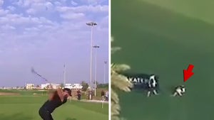 Dustin Johnson Hits Bystander With 300-Yard Drive, 'There'll Be A Nasty Bruise'