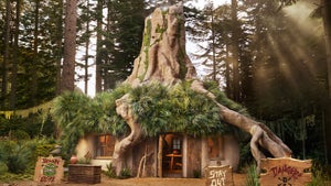 Shrek's Swamp Available On Airbnb, Spend 2 Nights Like an Ogre