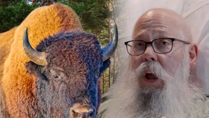 bison attack man in hospital bed getty cbs 1