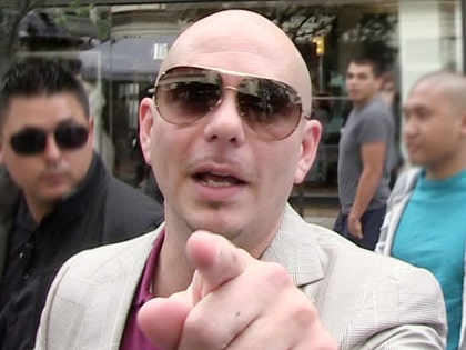 1215-pitbull-tmz-03