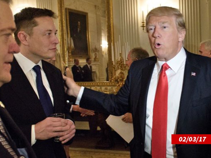 Donald Trump und Elon Musk