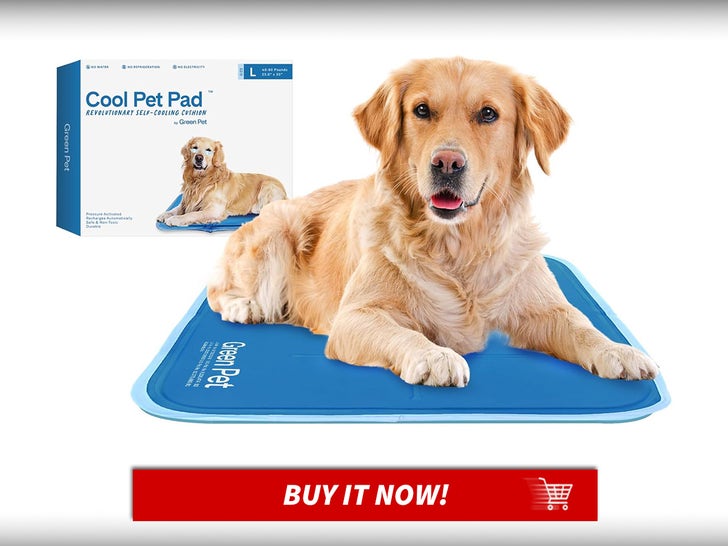 Cooling-Pet-Pad-Pet-Summer-Essentials-MAIN